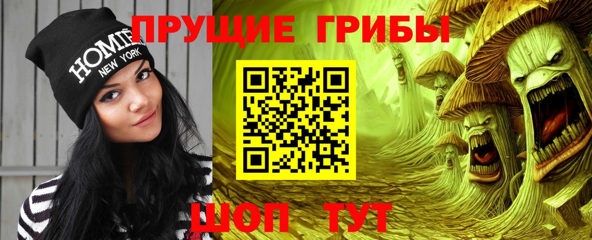 дарнет шоп  Псилоцибиновые грибы MAGIC MUSHROOMS  Вход с VPN  Дмитров 